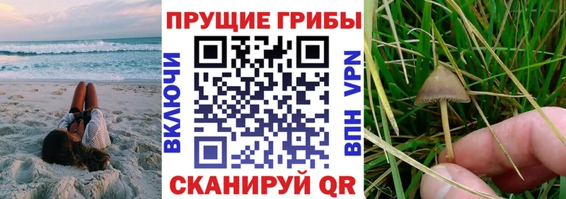 мега как войти  Сызрань  Галлюциногенные грибы GOLDEN TEACHER 