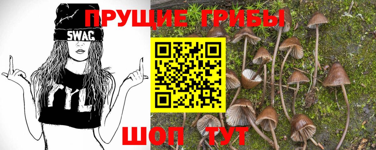 Сызрань  где купить наркоту  Вход с VPN  Галлюциногенные грибы Psilocybe 